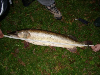 113 cm zeigte das Maßband an